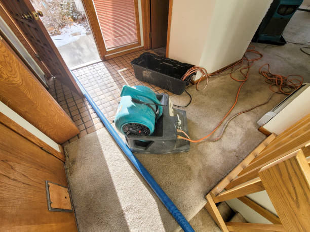 Best Water damage restoration near me  in Fairhope, PA