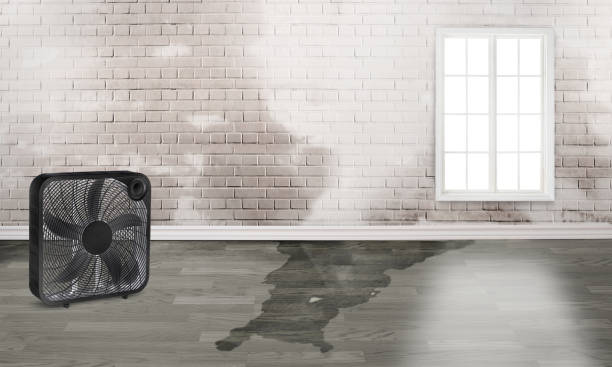 Best Basement water damage restoration  in Fairhope, PA