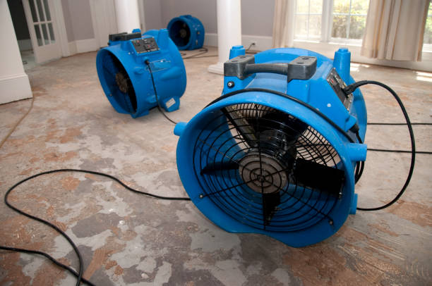 Best Water damage cleanup near me  in Fairhope, PA