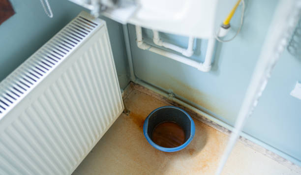 Best Professional water damage repair  in Fairhope, PA