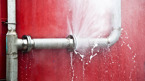 Best Carpet water damage restoration  in Fairhope, PA
